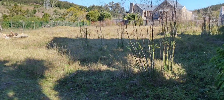 0 Bedroom Property for Sale in Green Pastures Western Cape